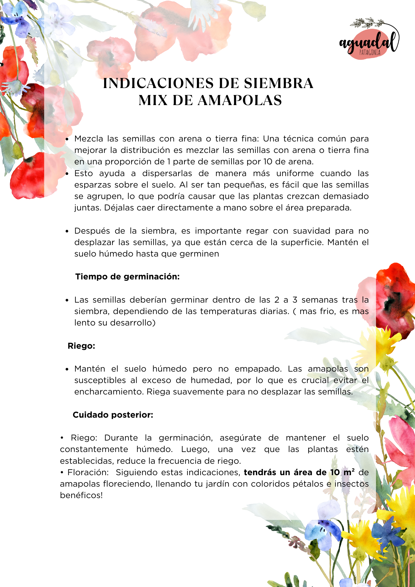 Pack Bienvenida Primavera