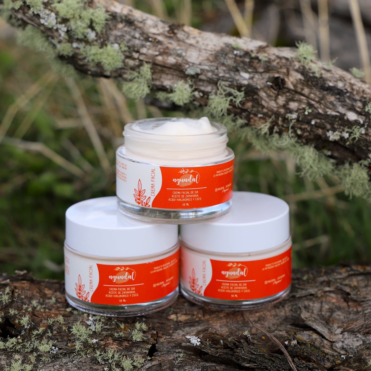 Crema facial de dia - Zanahoria & Coco