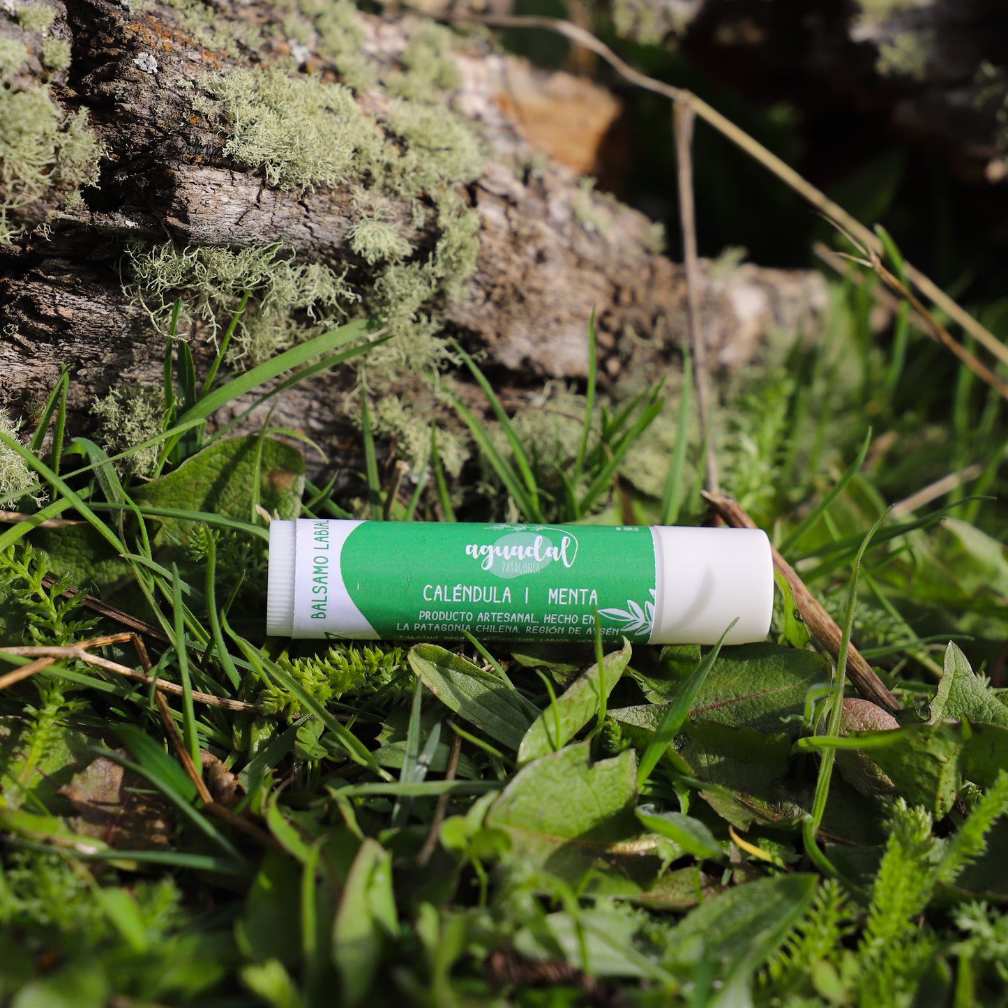 Labial de Caléndula & Menta 5 g.