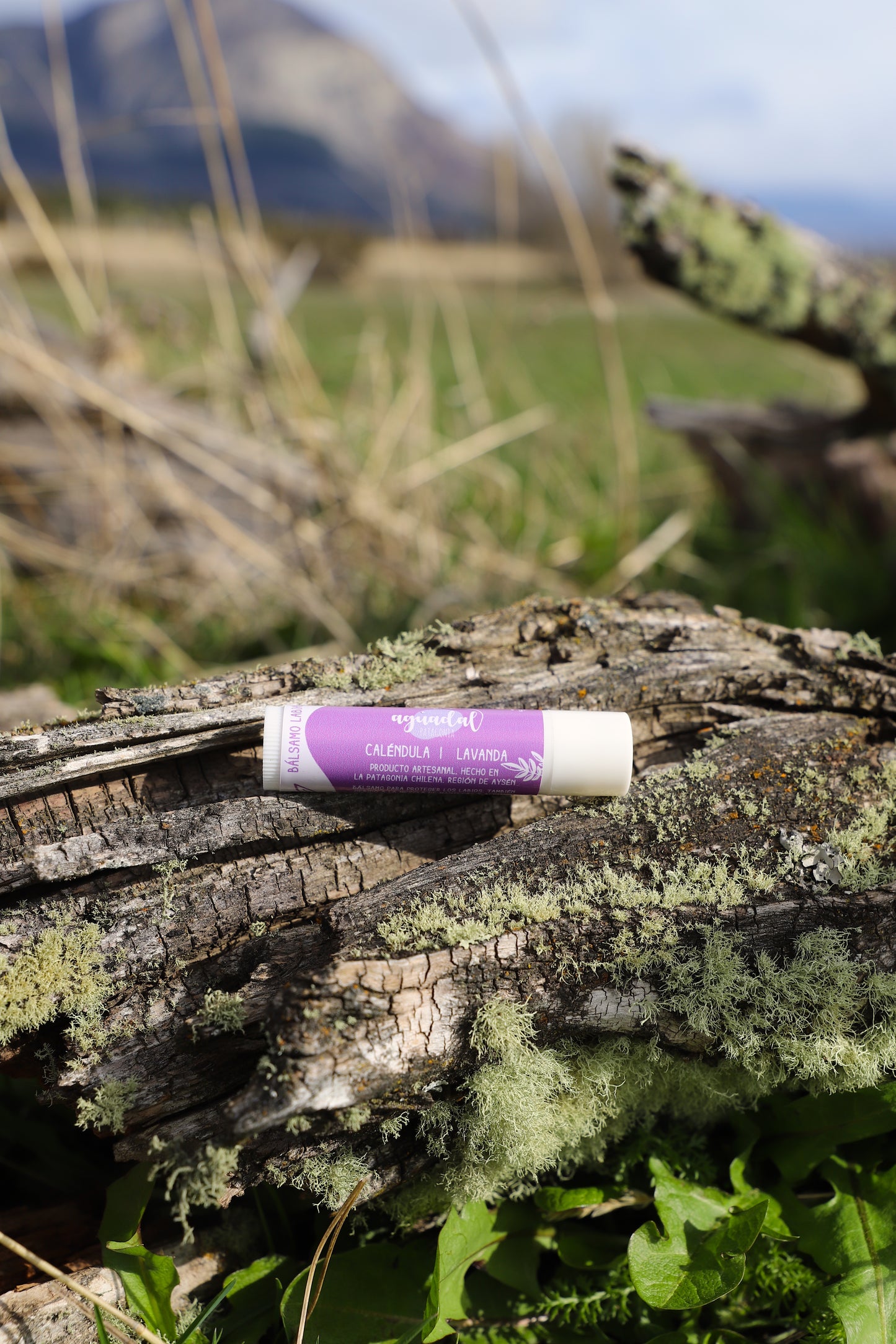 Labial de Caléndula & Lavanda 5 g.