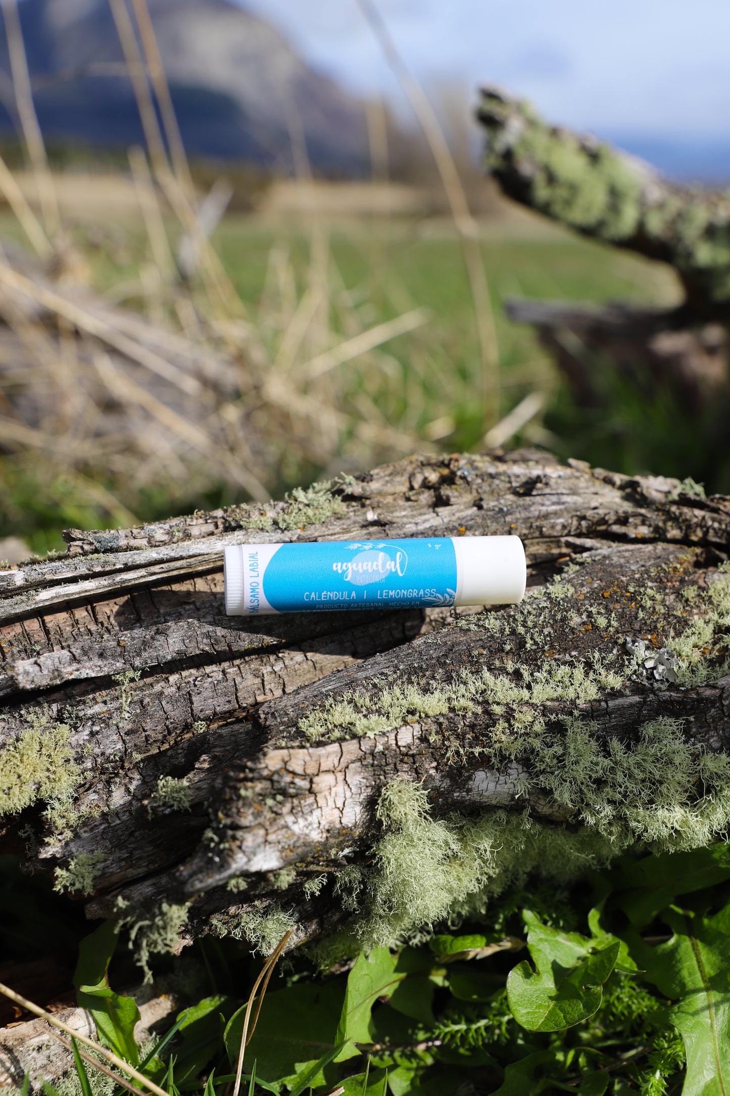 Labial de Caléndula & Lemongrass 5 g.