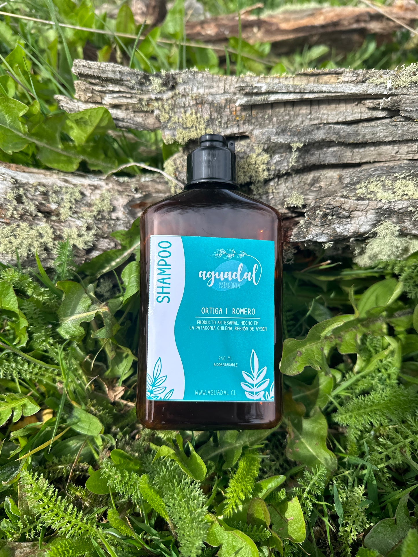 Shampoo liquido Ortiga & Romero - 250 ml
