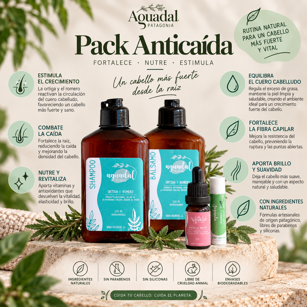 Pack Anticaída