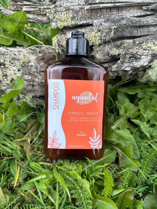 Shampoo Líquido Caléndula Naranja 250 ml