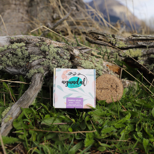 solido ortiga lavanda