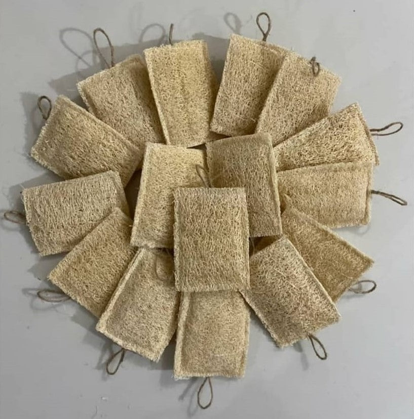 Esponja Vegetal de Luffa